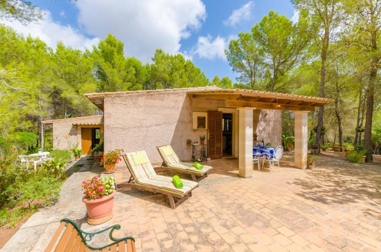 Villa Casa Mas *